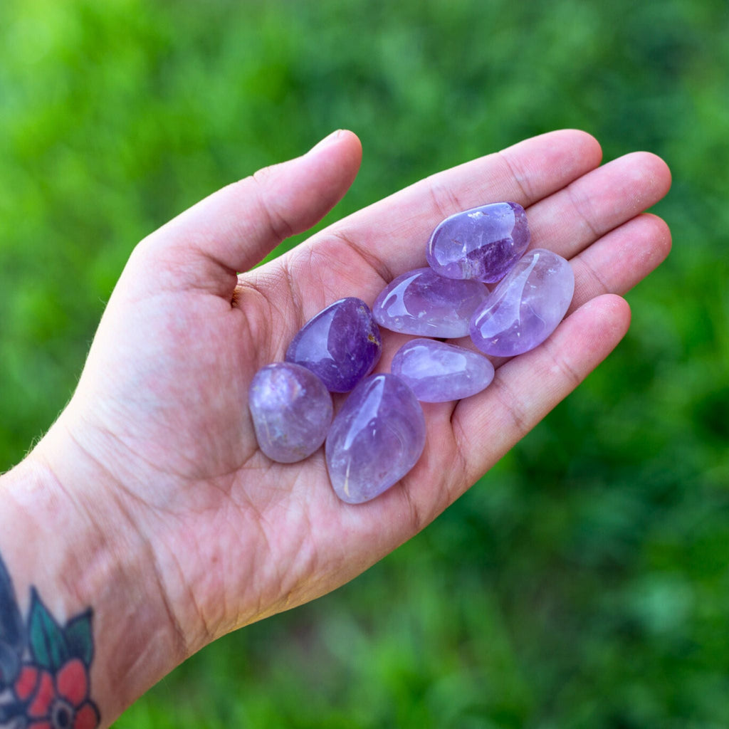 Amethyst Maraba Tumbled 1lb | Religious Items | Wiccan Center