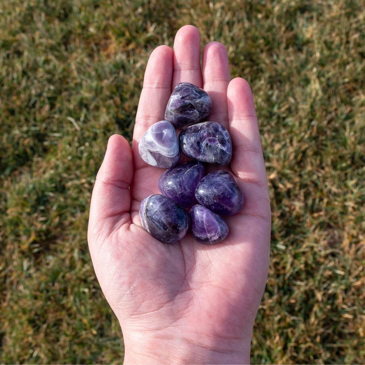 Amethyst Tumbled 1lb | | Wiccan Center