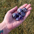 Amethyst Tumbled 1lb | | Wiccan Center