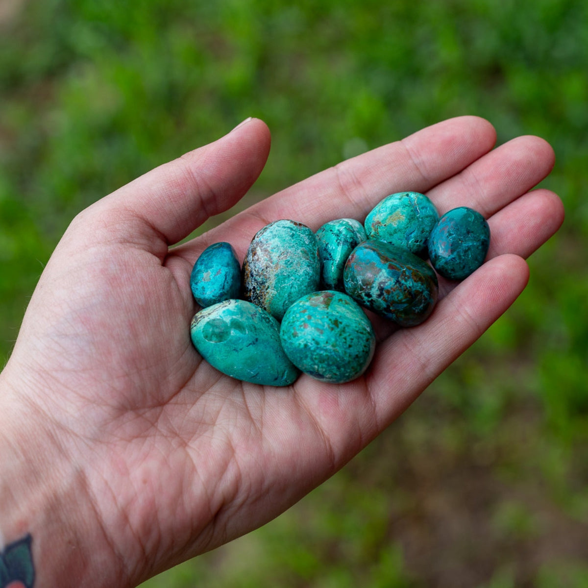 Chrysocolla Tumbled 1lb | Crystals | Wiccan Center