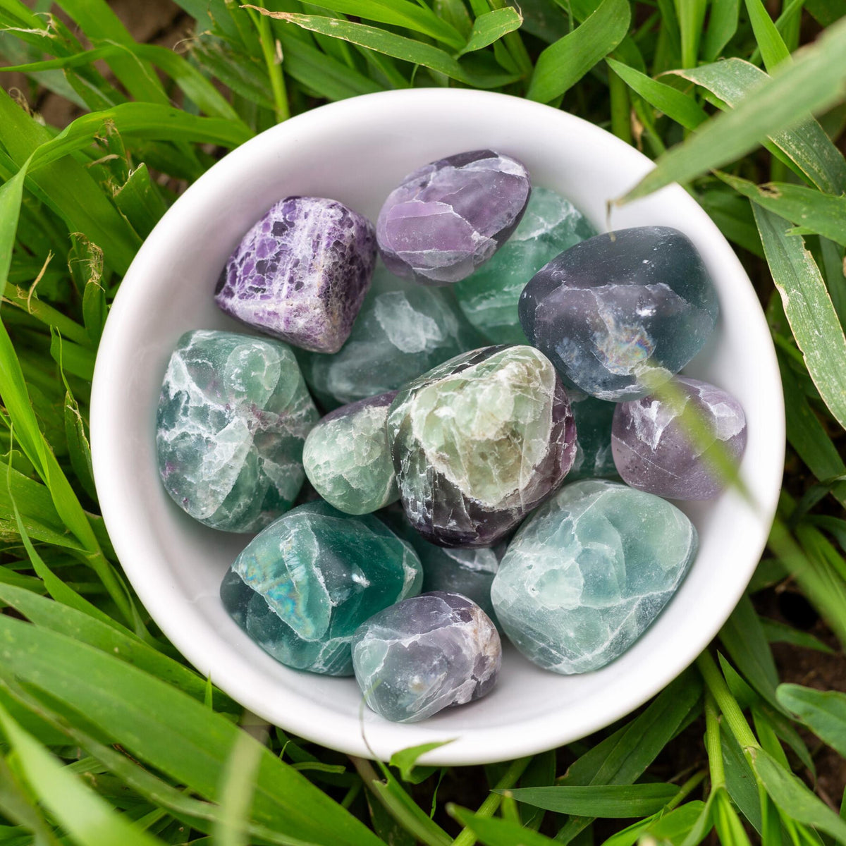 Fluorite Tumbled 1lb