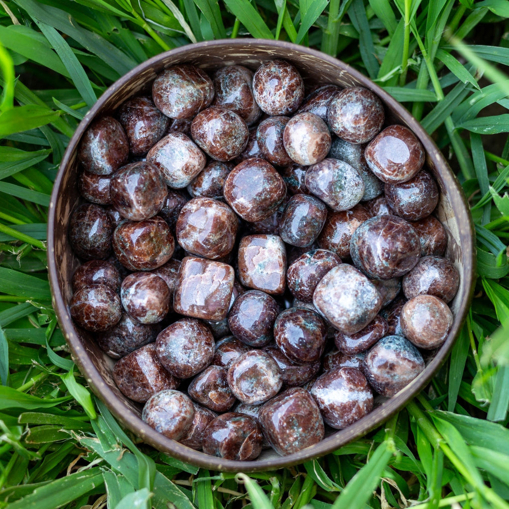 Garnet Tumbled 1lb | Rocks & Fossils | Wiccan Center