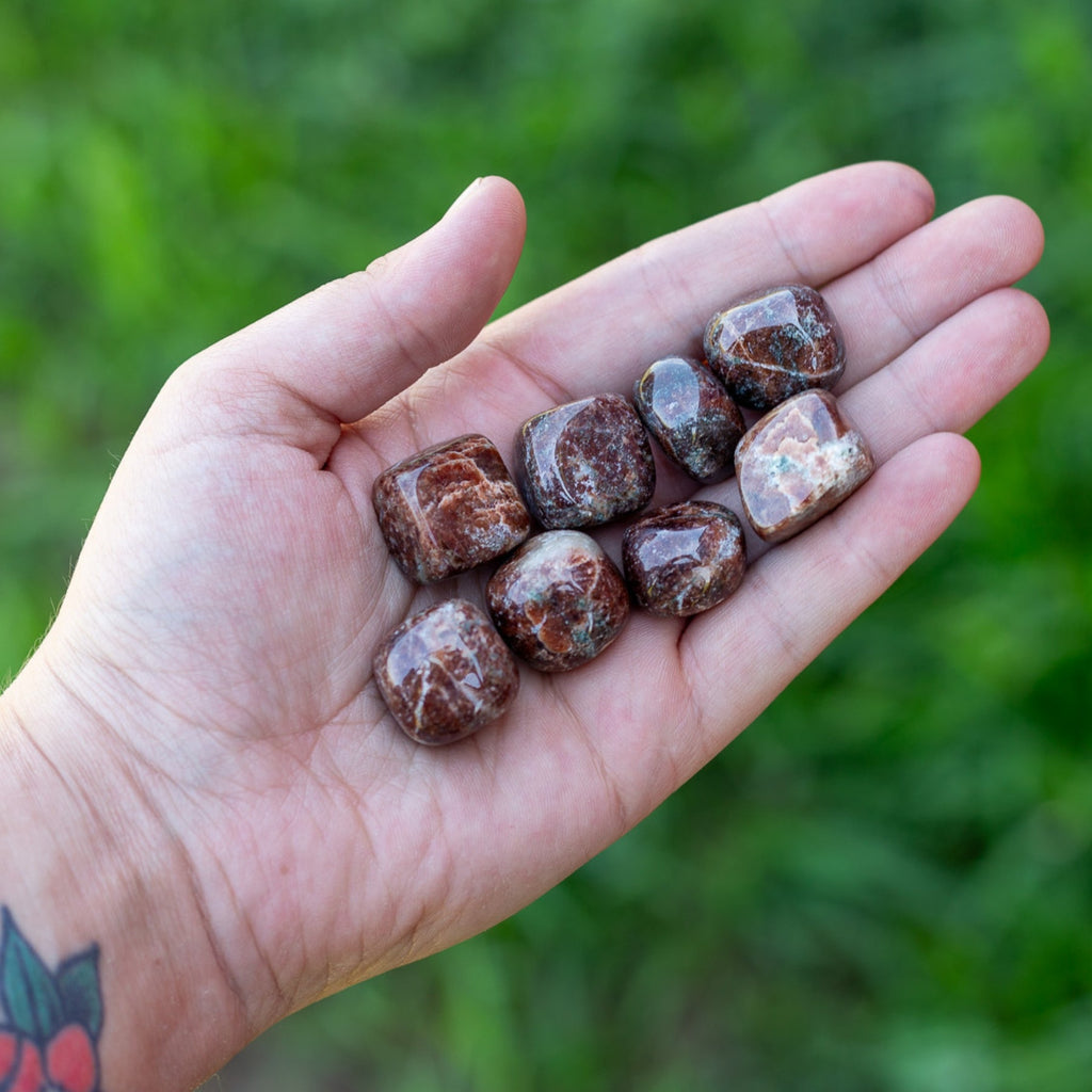 Garnet Tumbled 1lb | Rocks & Fossils | Wiccan Center