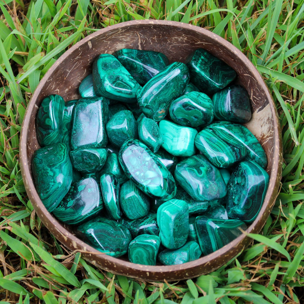 Malachite Tumbled 1lb | Religious Items | Wiccan Center