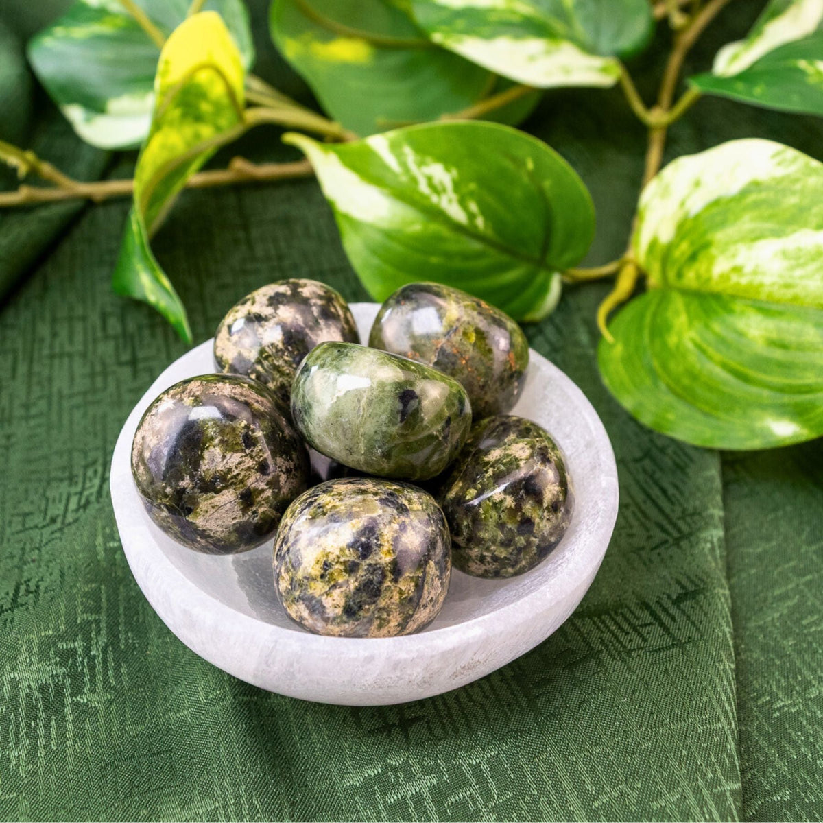 Nephrite Jade Tumbled 1lb