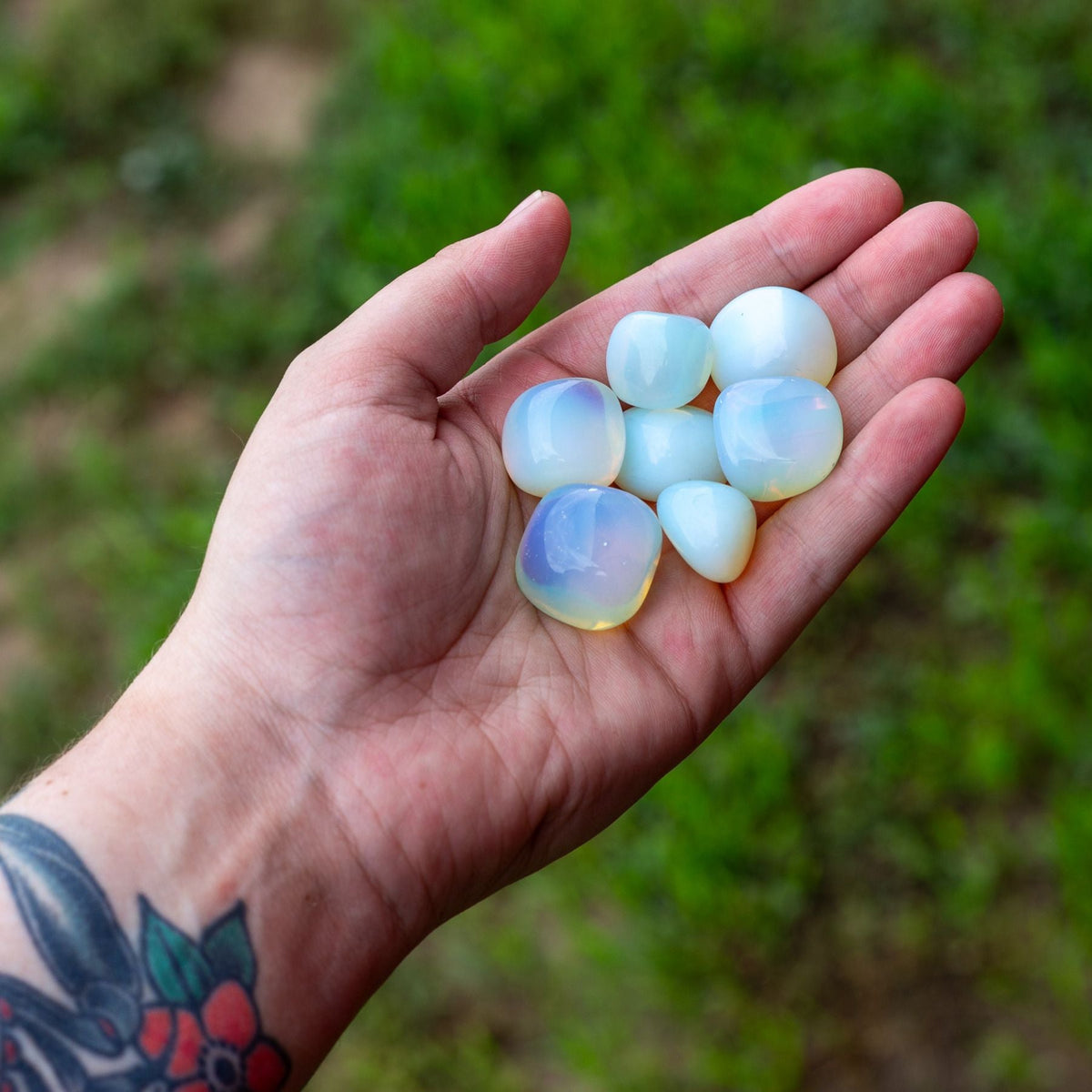 Opalite Tumbled 1lb