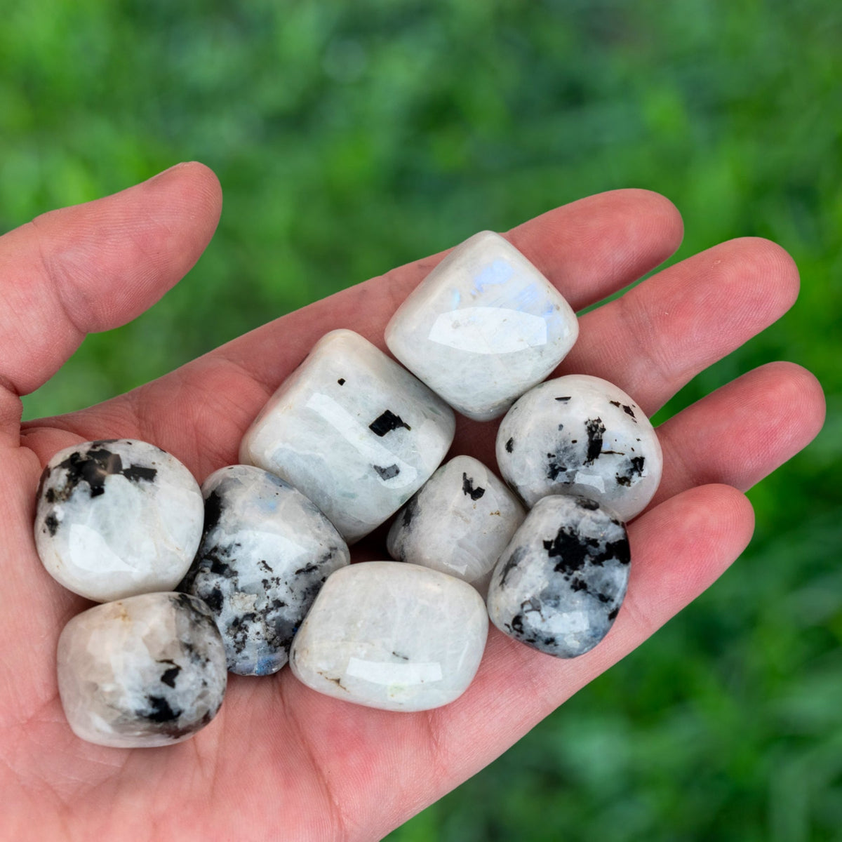 Rainbow Moonstone Tumbled 1lb