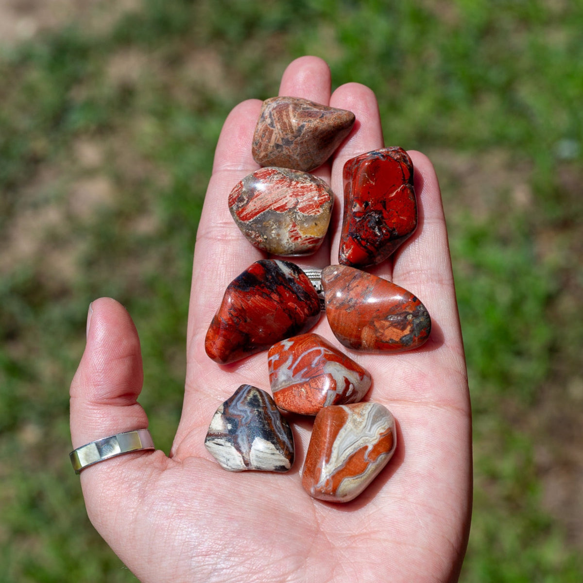 Red Brecciated Jasper Tumbled 1lb