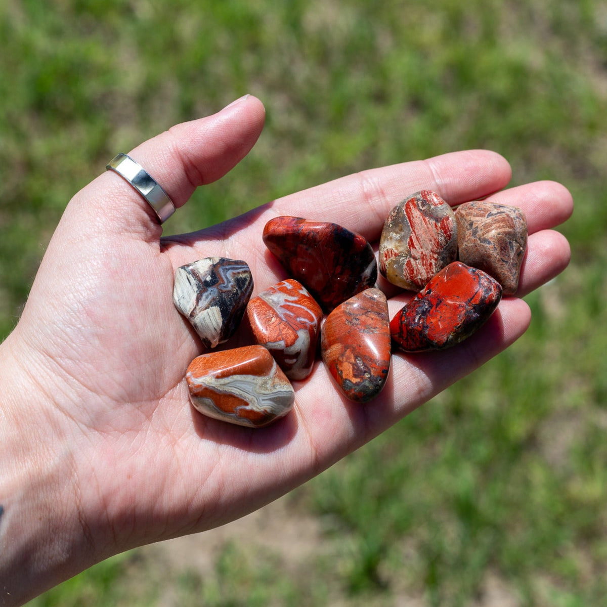 Red Brecciated Jasper Tumbled 1lb