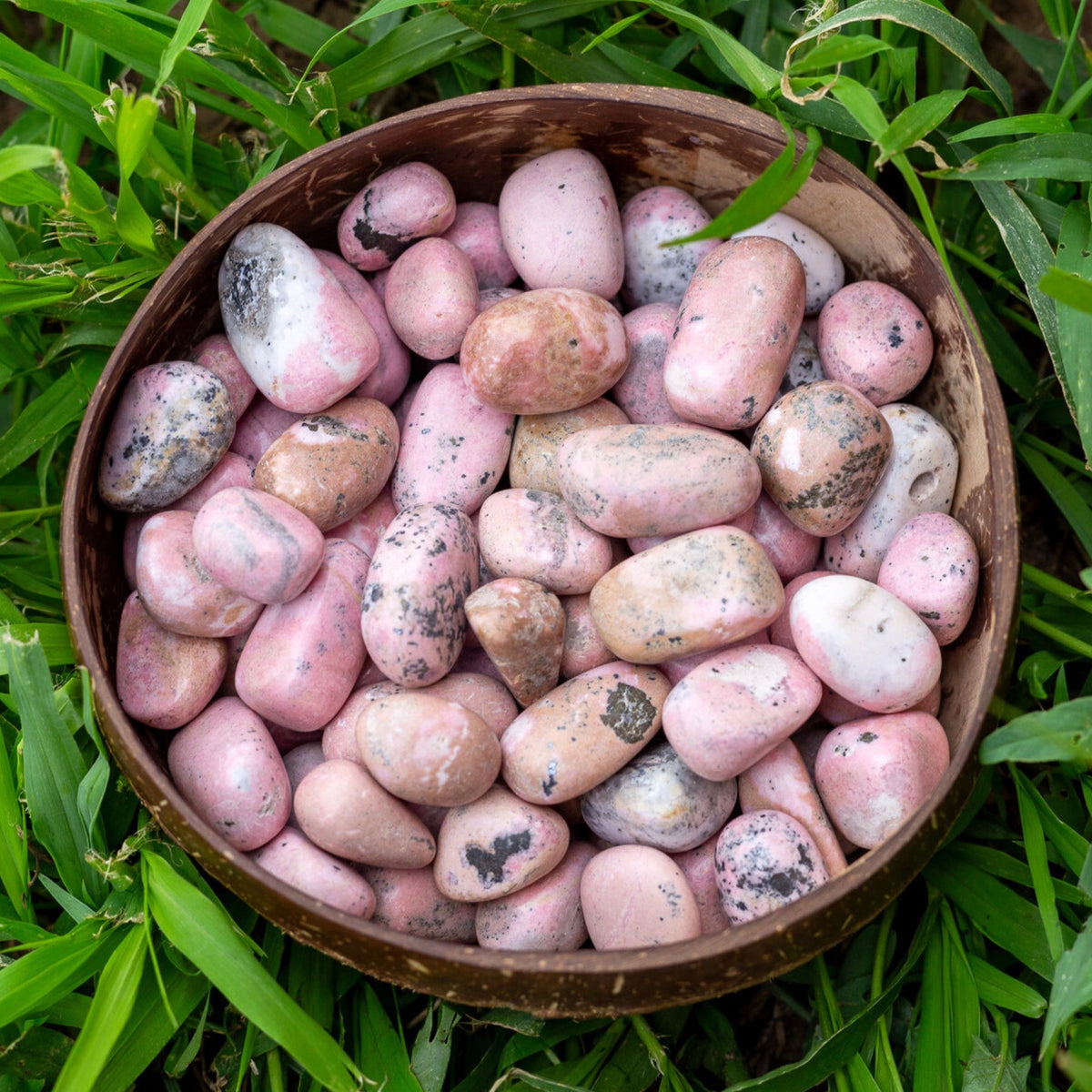Rhodonite Tumbled 1lb