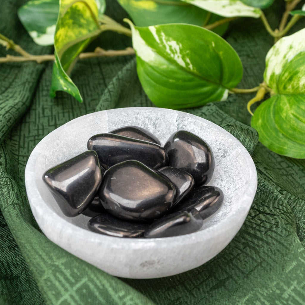 Shungite Tumbled 1lb | Crystals | Wiccan Center