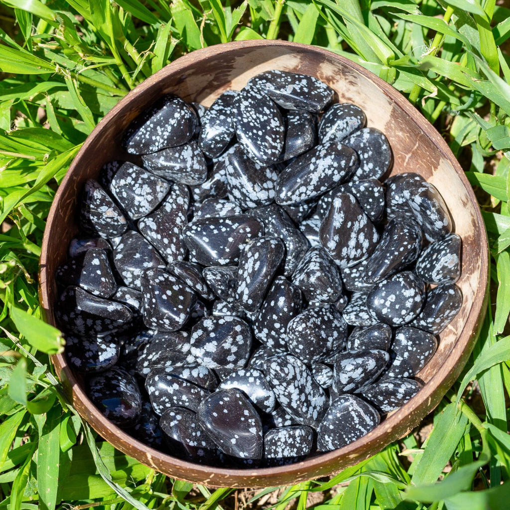 Snowflake Obsidian Tumbled 1lb | | Wiccan Center