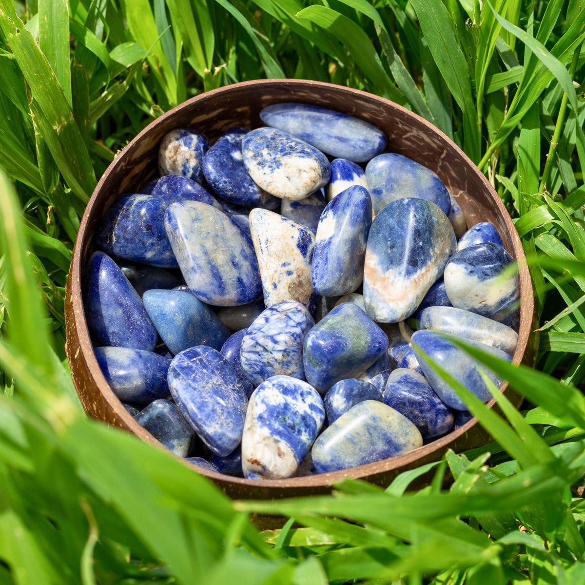 Sodalite Tumbled 1lb | Religious Items | Wiccan Center