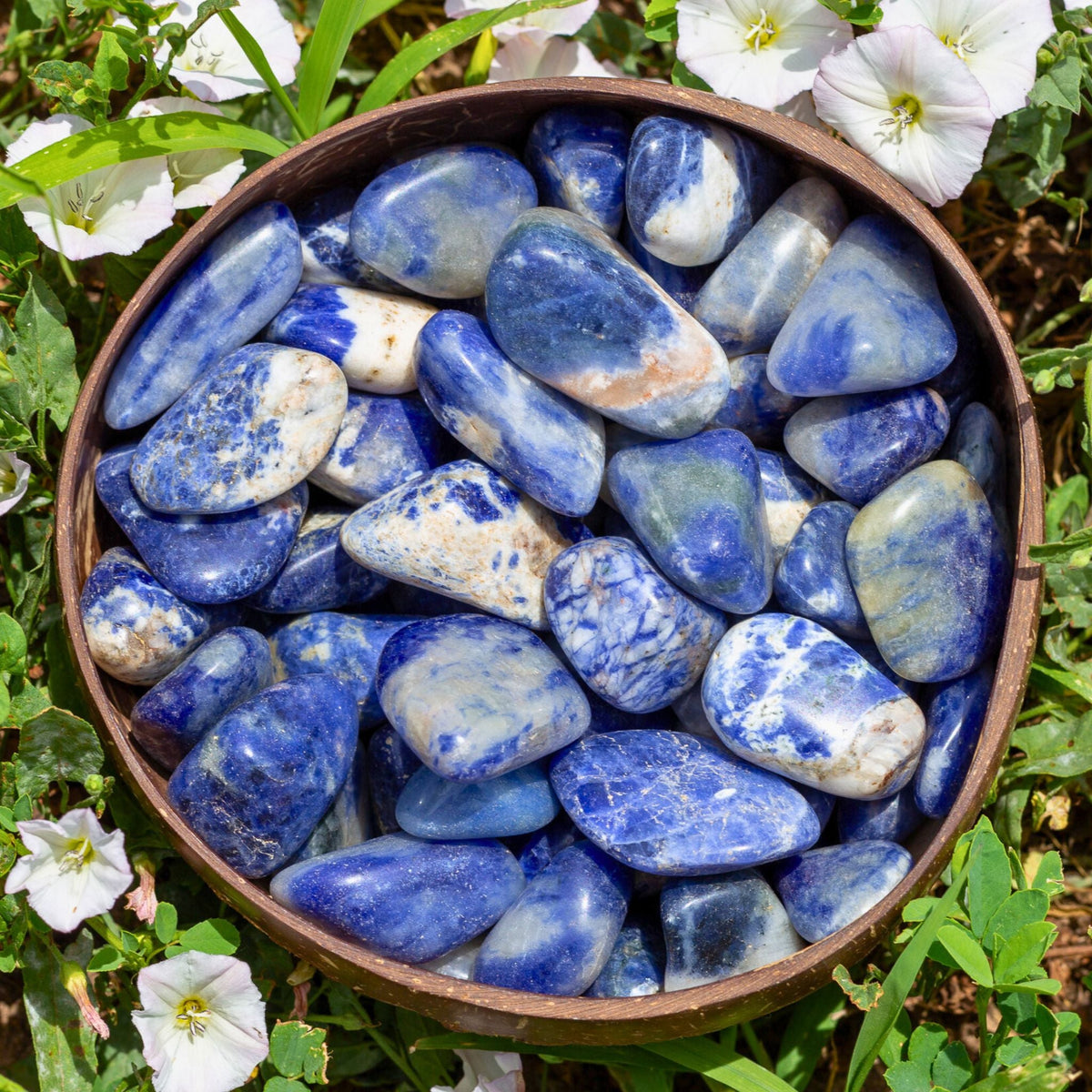 Sodalite Tumbled 1lb | Religious Items | Wiccan Center
