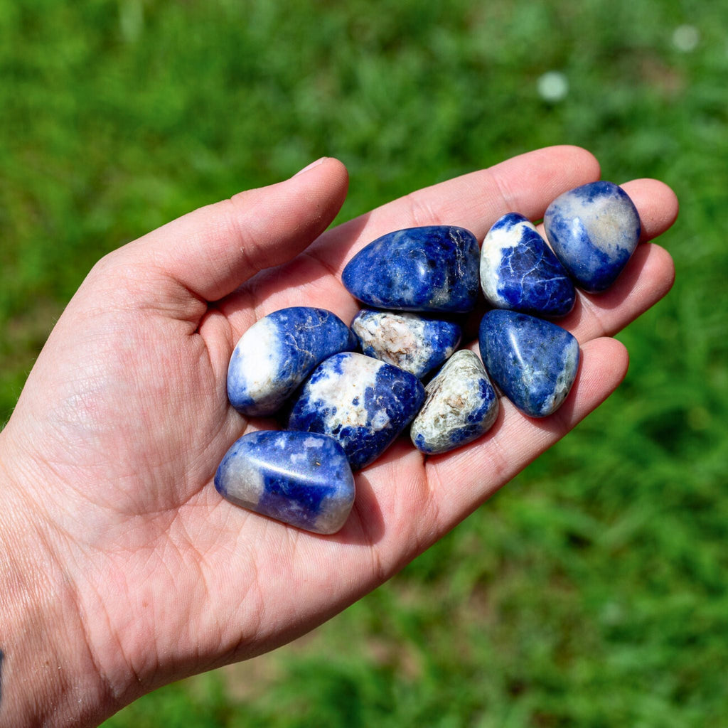 Sodalite Tumbled 1lb | Religious Items | Wiccan Center