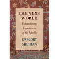 The Next World: Extraordinary Experiences of the Afterlife - Paperback