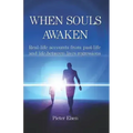 When Souls Awaken: Real-Life Accounts of Past-Life and Life-Between-Lives Regressions - Paperback