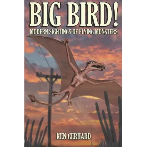 Big Bird! - Modern Sightings of Flying Monsters - Paperback | Books | Wiccan Center