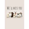We'll miss you: Perfect goodbye gift for coworker that is leaving / going away gift for your co worker, boss, manager, employee. - Paperback | Books | Wiccan Center