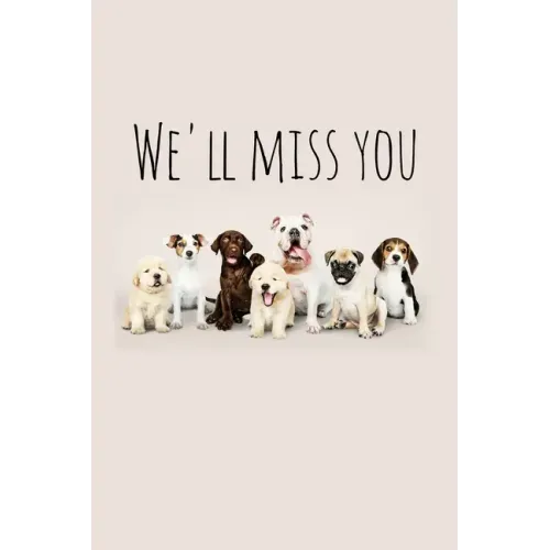 We'll miss you: Perfect goodbye gift for coworker that is leaving / going away gift for your co worker, boss, manager, employee. - Paperback | Books | Wiccan Center