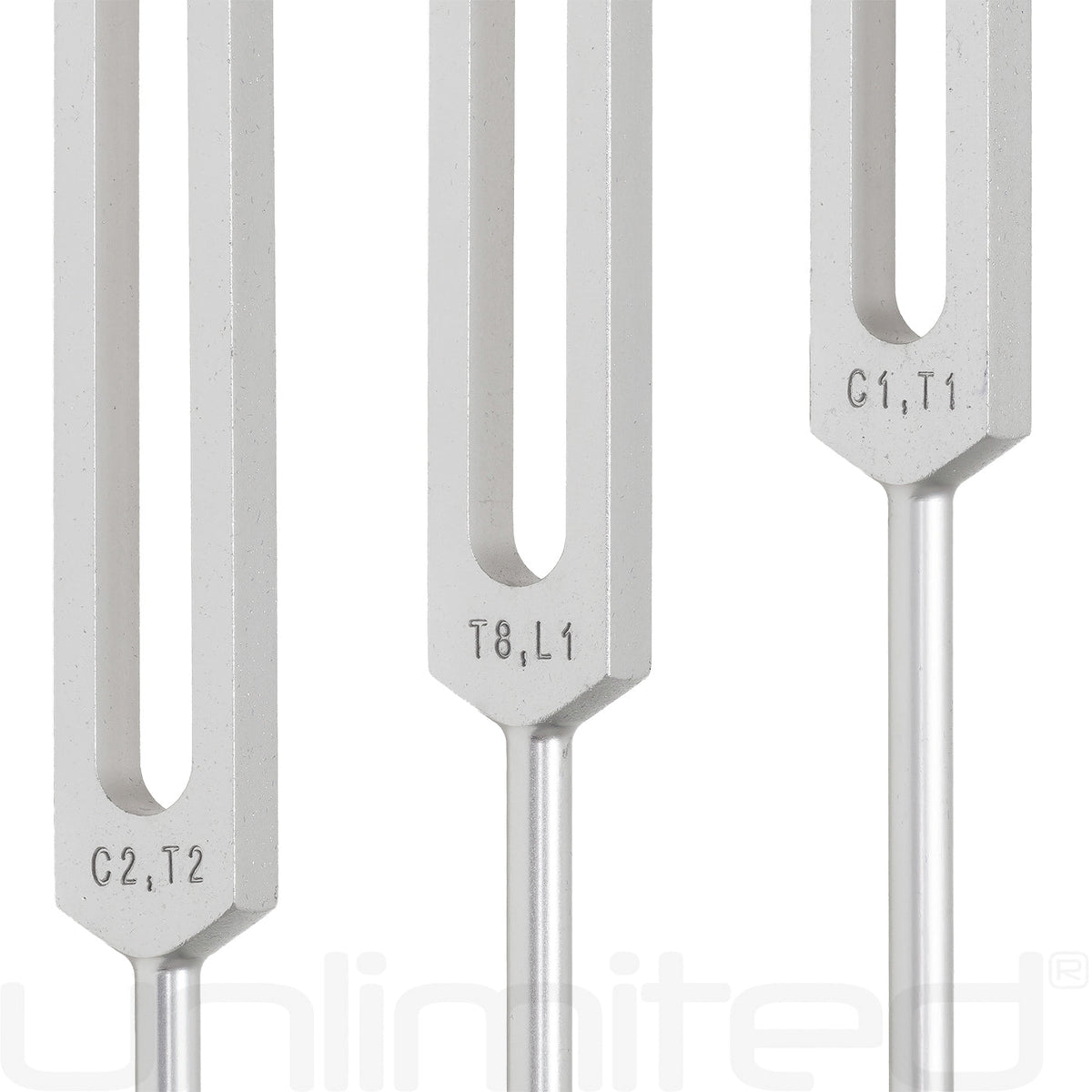 Unlimited Song of the Spine Tuning Fork Set (Weighted) with Activator | Tuning Fork | Wiccan Center