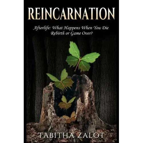 Reincarnation: Afterlife: Life After Death - What Happens When You Die? Rebirth or Game Over?