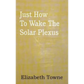 Just How To Wake The Solar Plexus - Paperback