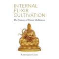 Internal Elixir Meditation: The Nature of Daoist Meditation