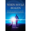 When Souls Awaken; Real-life accounts of past-life and life-between-lives regressions - Paperback