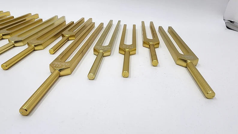 15-Piece Human Biology Set Unweighted Gold Color Tuning Forks for Vibrational Healing and Sound Therapy with Carry Bag and Striker