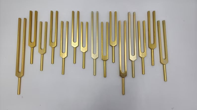 15-Piece Human Biology Set Unweighted Gold Color Tuning Forks for Vibrational Healing and Sound Therapy with Carry Bag and Striker