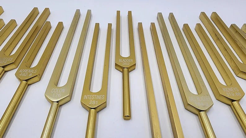 15-Piece Human Biology Set Unweighted Gold Color Tuning Forks for Vibrational Healing and Sound Therapy with Carry Bag and Striker