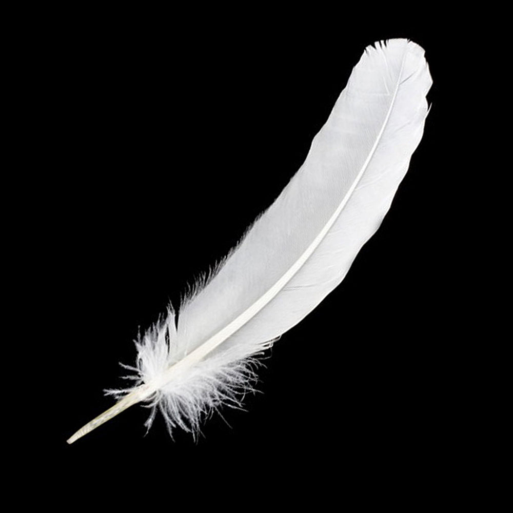 White Feather 12" | Feathers | Wiccan Center