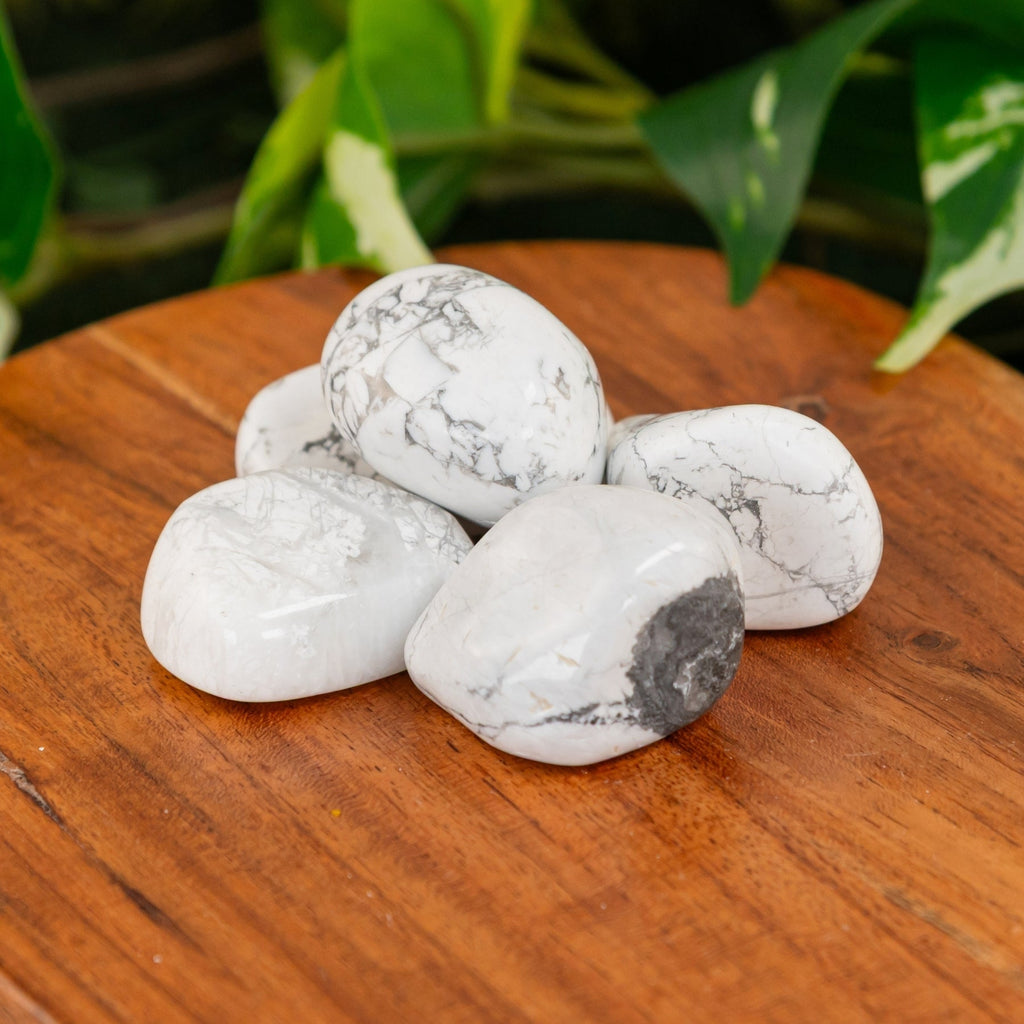 White Howlite Tumbled 1lb | Crystals | Wiccan Center