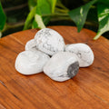 White Howlite Tumbled 1lb | Crystals | Wiccan Center