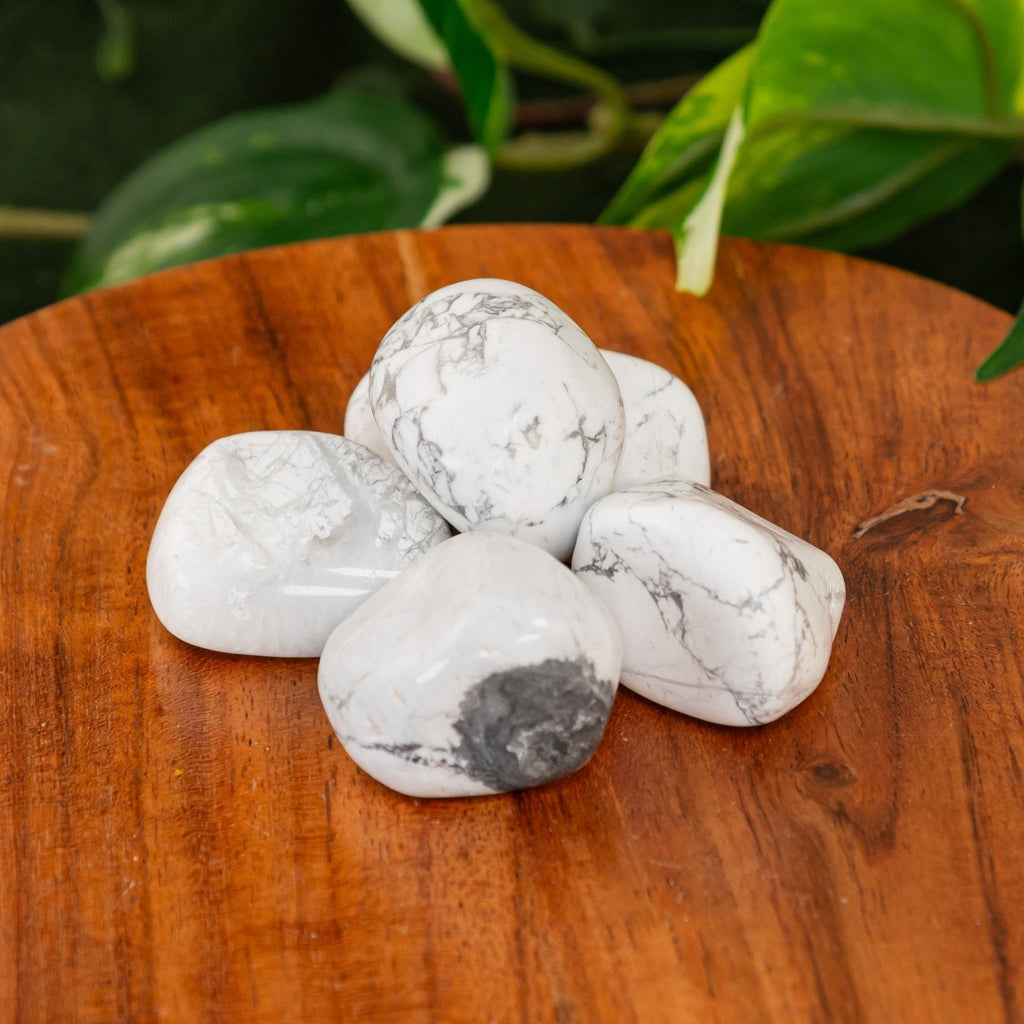 White Howlite Tumbled 1lb | Crystals | Wiccan Center