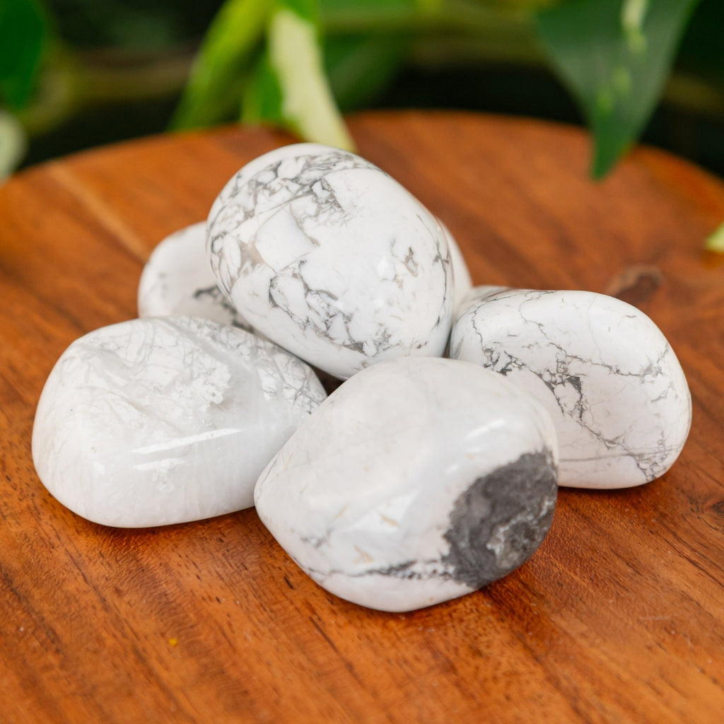 White Howlite Tumbled | Religious Items | Wiccan Center