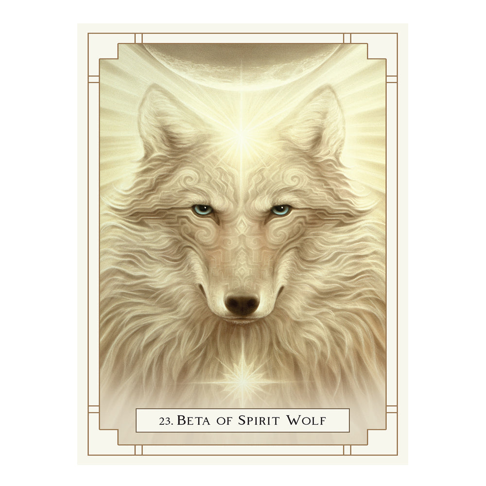 White Light Oracle | Tarot Cards | Wiccan Center