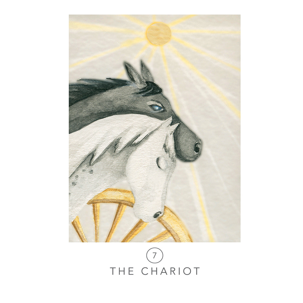 White Sage Tarot | Tarot Cards | Wiccan Center