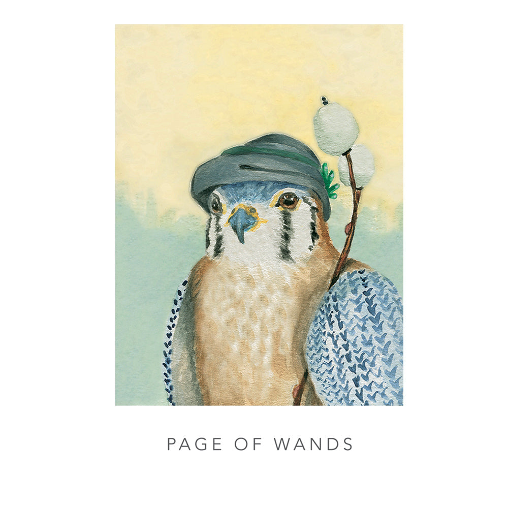White Sage Tarot | Tarot Cards | Wiccan Center