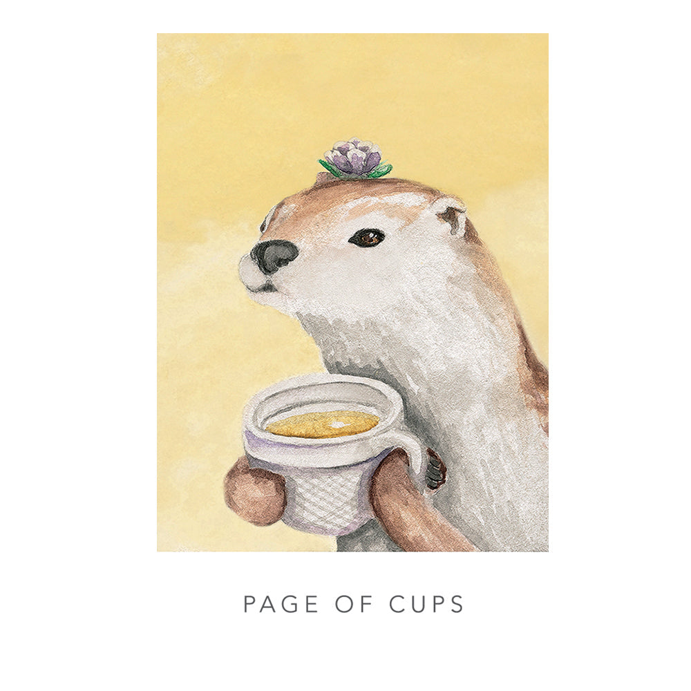 White Sage Tarot | Tarot Cards | Wiccan Center