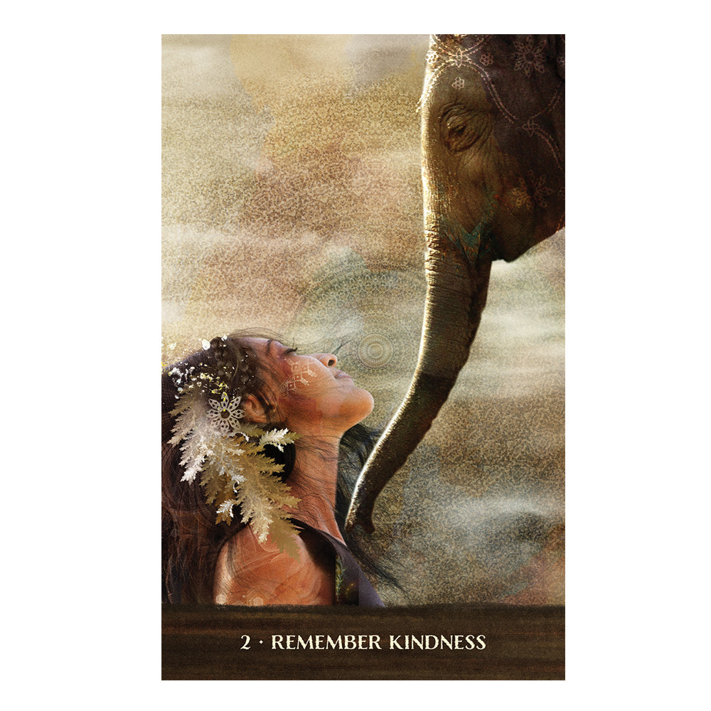 Wild Woman Rising Oracle Deck | Tarot Cards | Wiccan Center