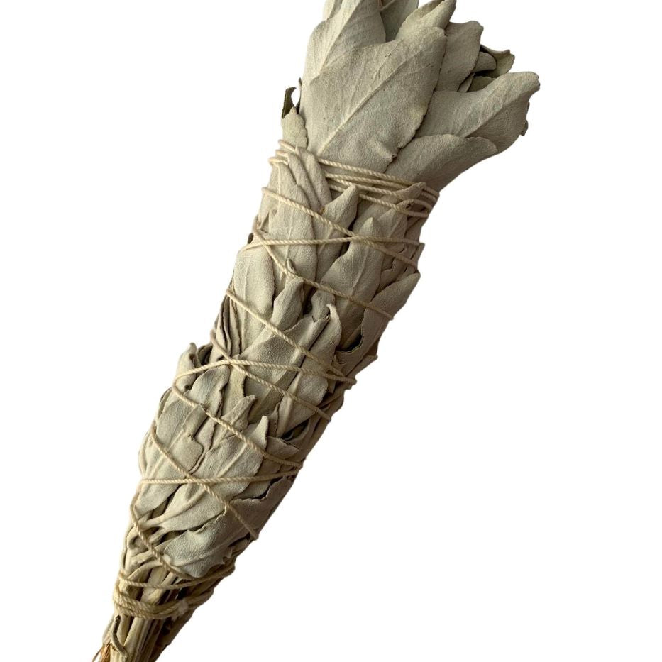 White Sage Smudging – Stick or Loose Leaf | | Wiccan Center