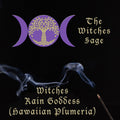 Witches Rain Goddess (Hawaiian Plumeria) Incense Sticks | Incense | Wiccan Center