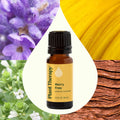 Plant Therapy Worry Free Essential Oil 10 Ml