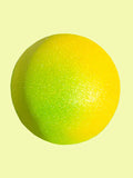 DELIGHT | BATH BOMB | Wiccan Center