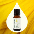 Plant Therapy Ylang Ylang Essential Oil 10 Ml