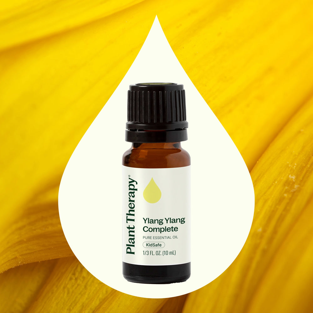 Plant Therapy Ylang Ylang Essential Oil 10 Ml