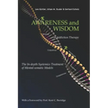 Awareness and Wisdom in Addiction Therapy: The In-Depth Systemics Treatment of Mental-somatic Models - Paperback