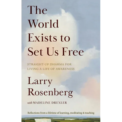 The World Exists to Set Us Free: Straight-Up Dharma for Living a Life of Awareness - Paperback | Books | Wiccan Center